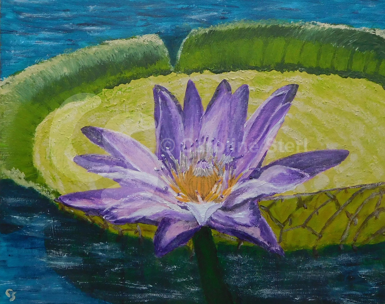 Painting: Victoria Water Lily